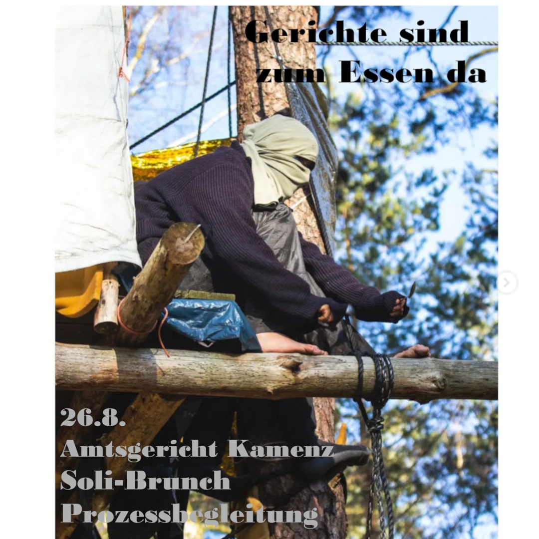 26.08. Solidarity process support, Dresden, Germany