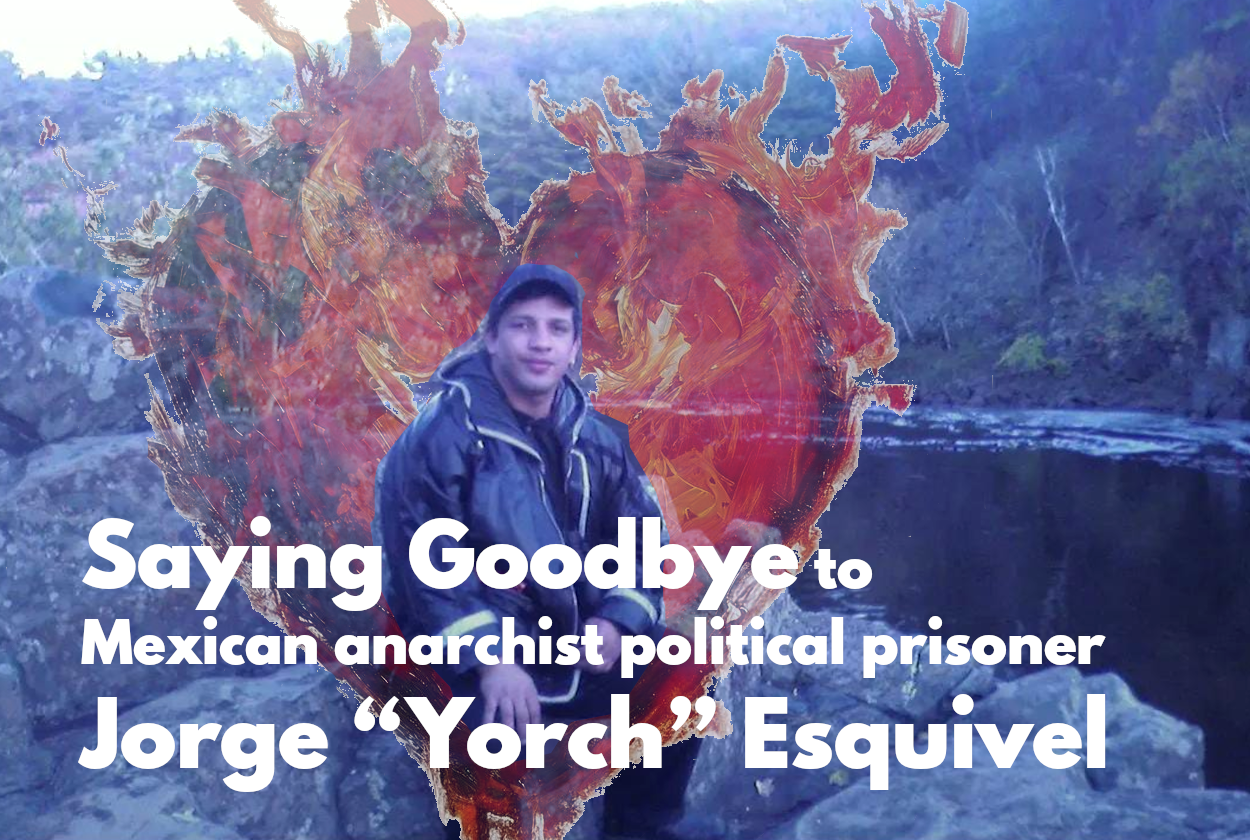 Update on Yorch: Saying Goodbye