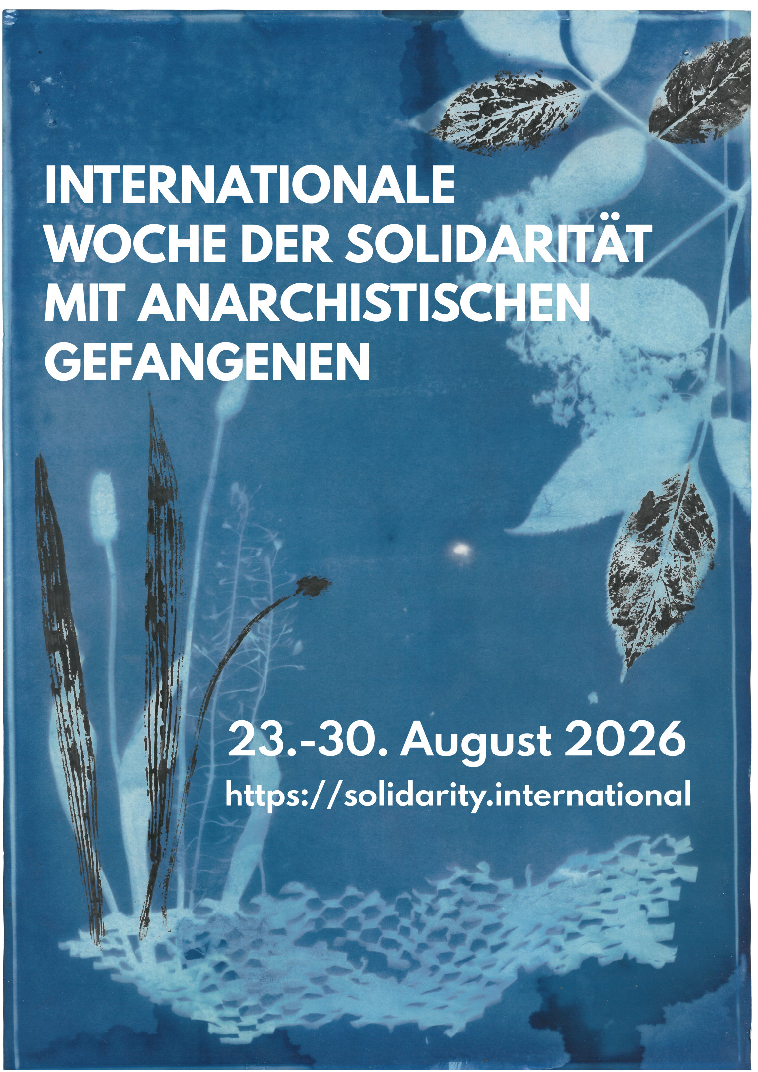 Cyanotype from different plants. Text:International Week of Solidarity with Anarchist Prisoner 2026 August 23-30, 2026 https://solidarity.international