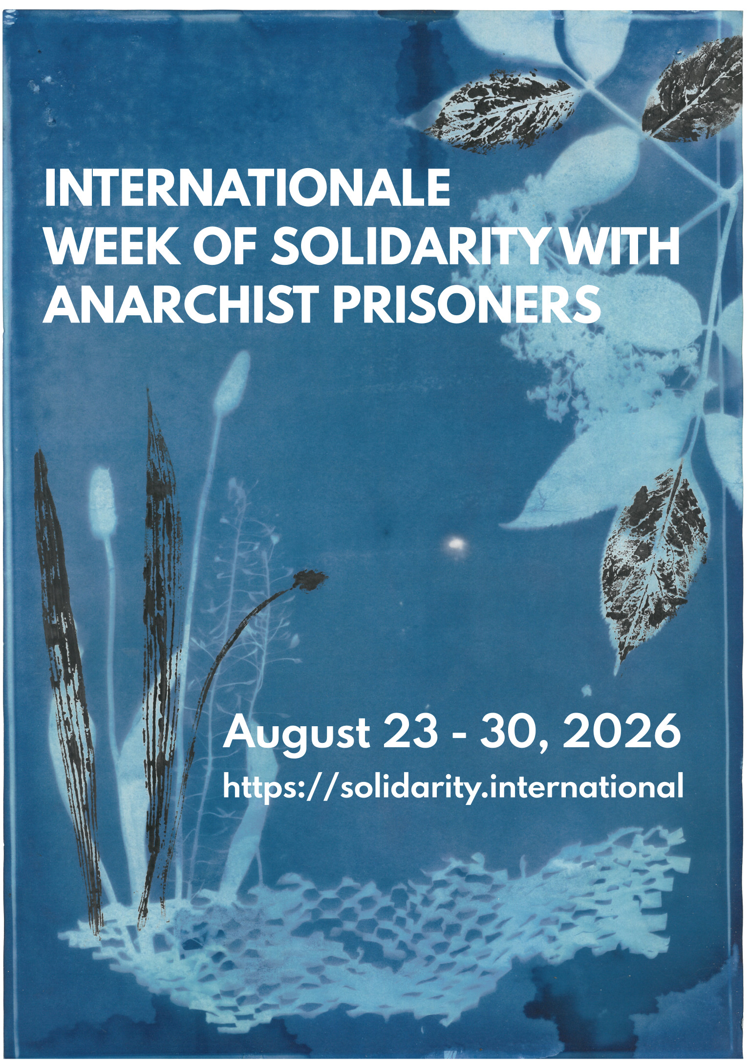 Cyanotype from different plants.
Text:International Week of Solidarity with Anarchist Prisoner 2026
August 23-30, 2026
https://solidarity.international