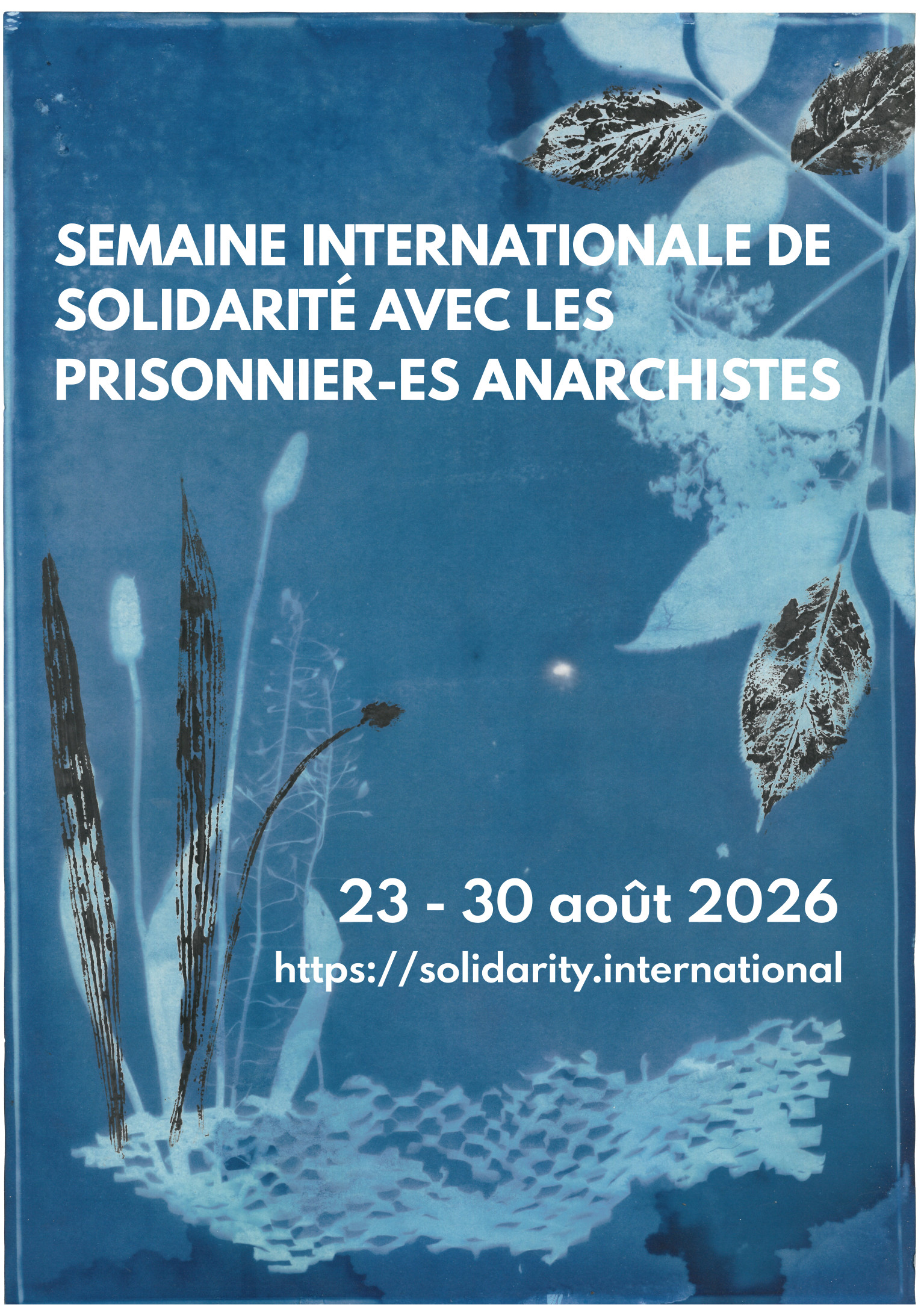 Cyanotype from different plants. Text:International Week of Solidarity with Anarchist Prisoner 2026 August 23-30, 2026 https://solidarity.international