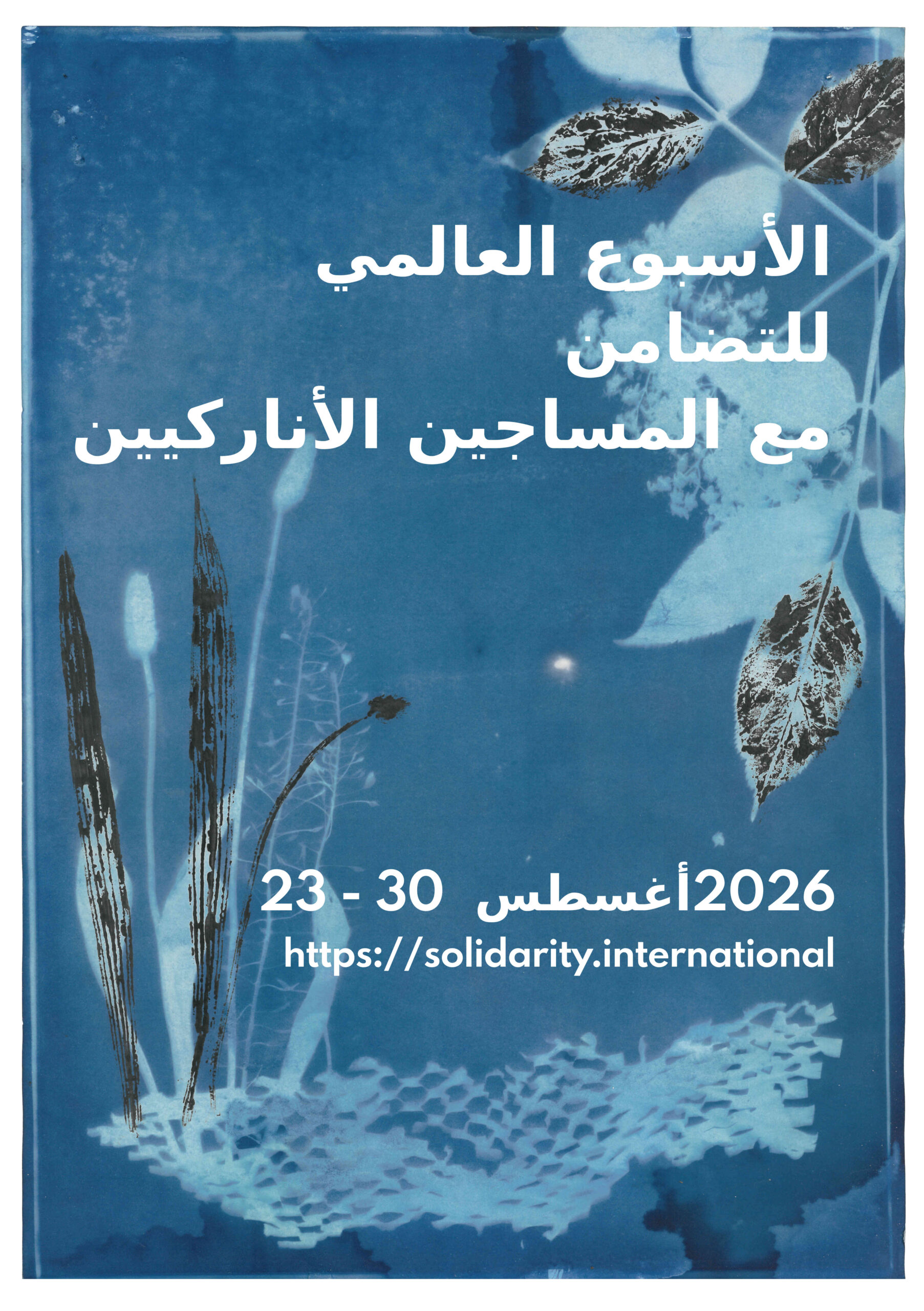 Cyanotype from different plants.
Text:International Week of Solidarity with Anarchist Prisoner 2026
August 23-30, 2026
https://solidarity.international