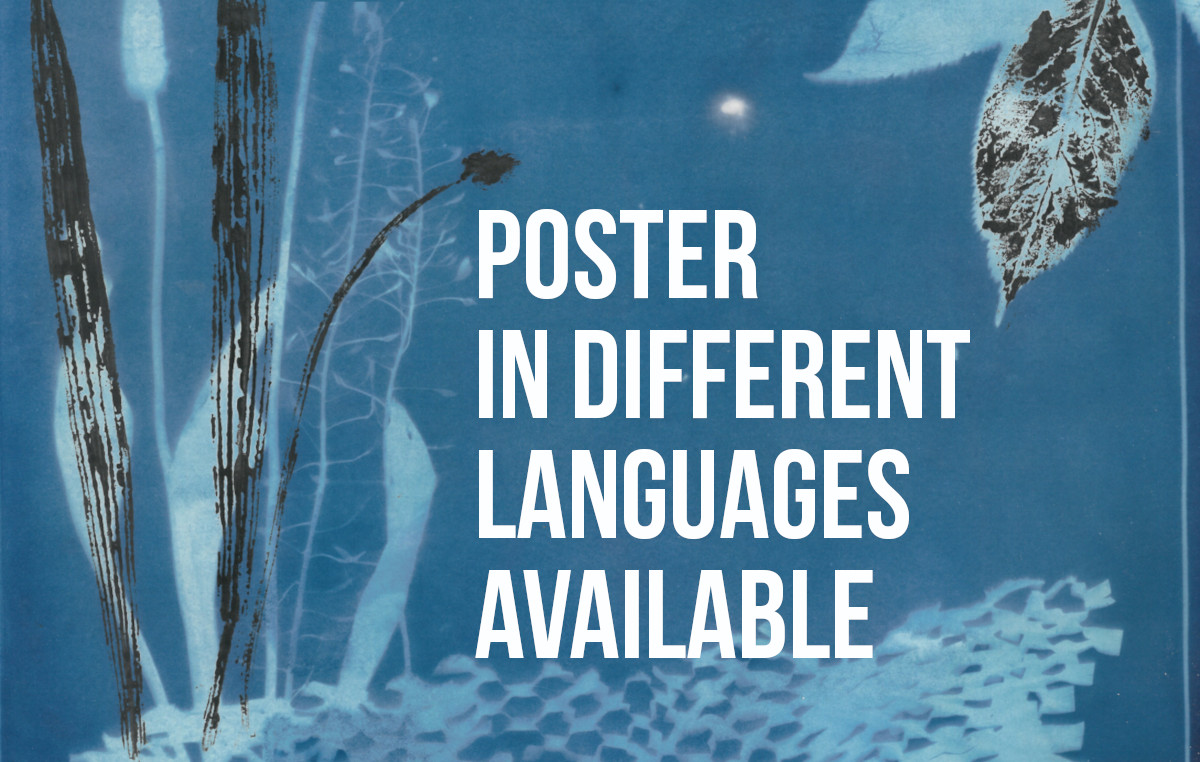 Poster for Week of Solidarity 2026 in different languages