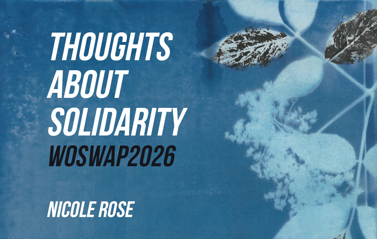 Thoughts about Solidarity #3